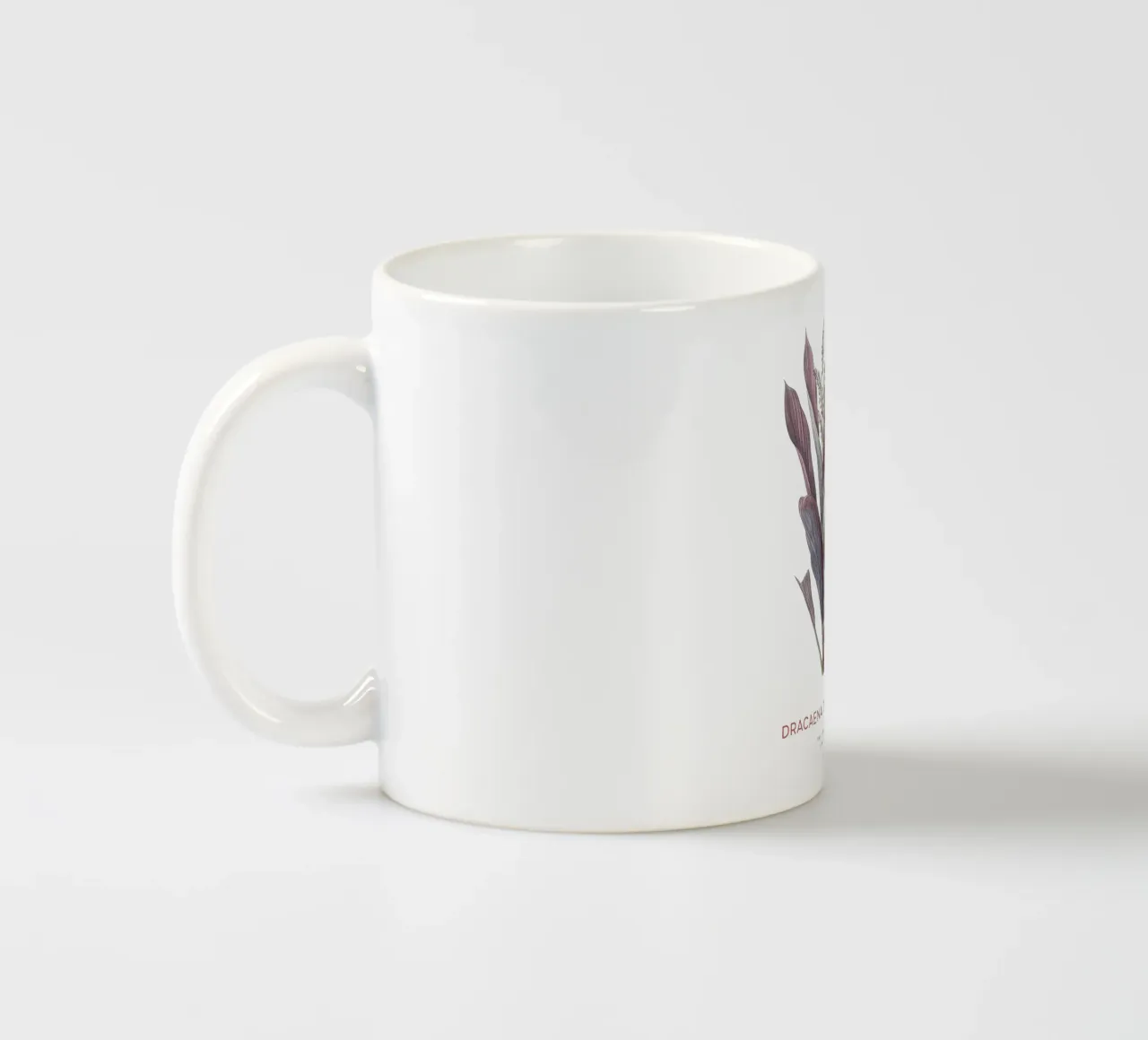 Giglio delle palme o Dracaena terminalis tazza in ceramica da Vintagrafica