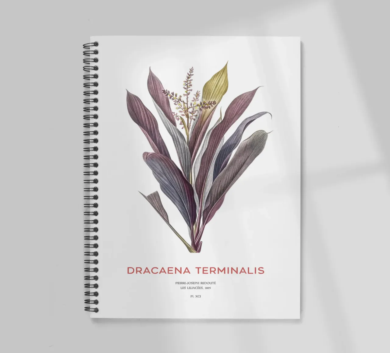 Palm lily or Dracaena terminalis spiral notebook by Vintagrafica