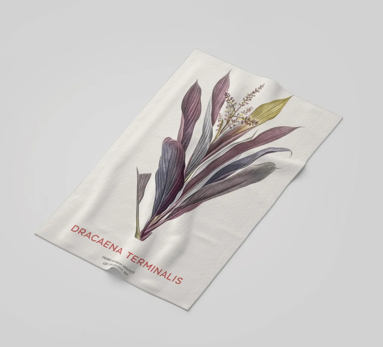 Giglio delle palme o Dracaena terminalis telo mare da Vintagrafica