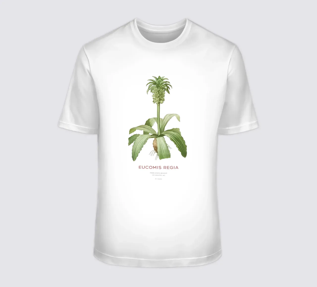 Giglio dell'ananas o Eucomis regia t-shirt da Vintagrafica