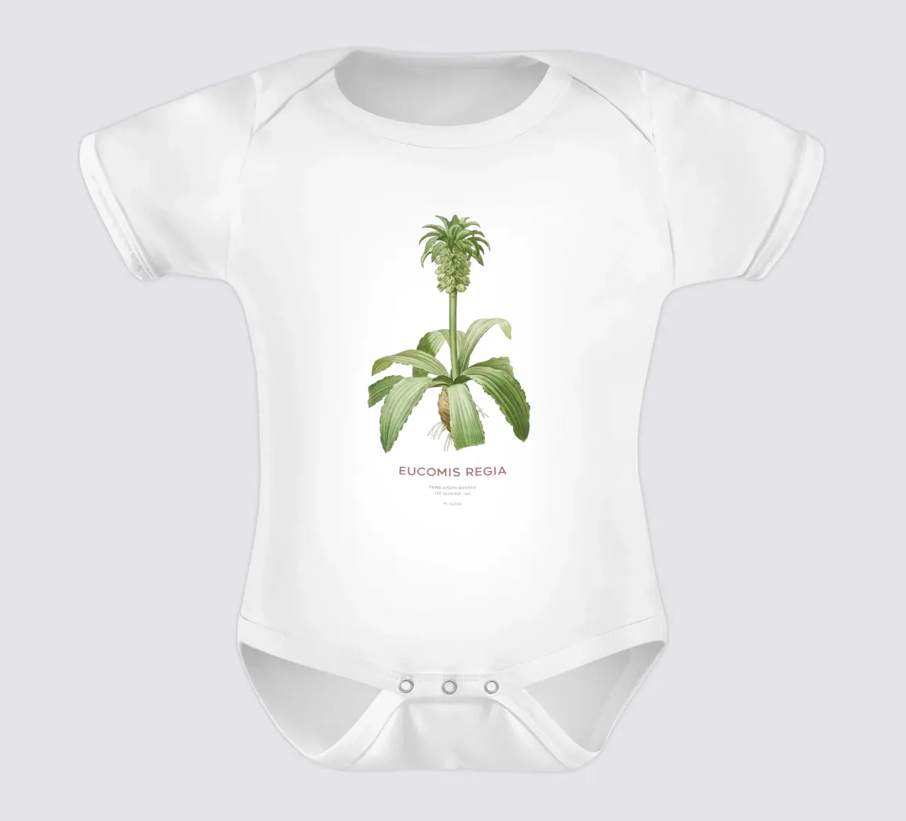 Giglio dell'ananas o Eucomis regia body neonato maniche corte da Vintagrafica