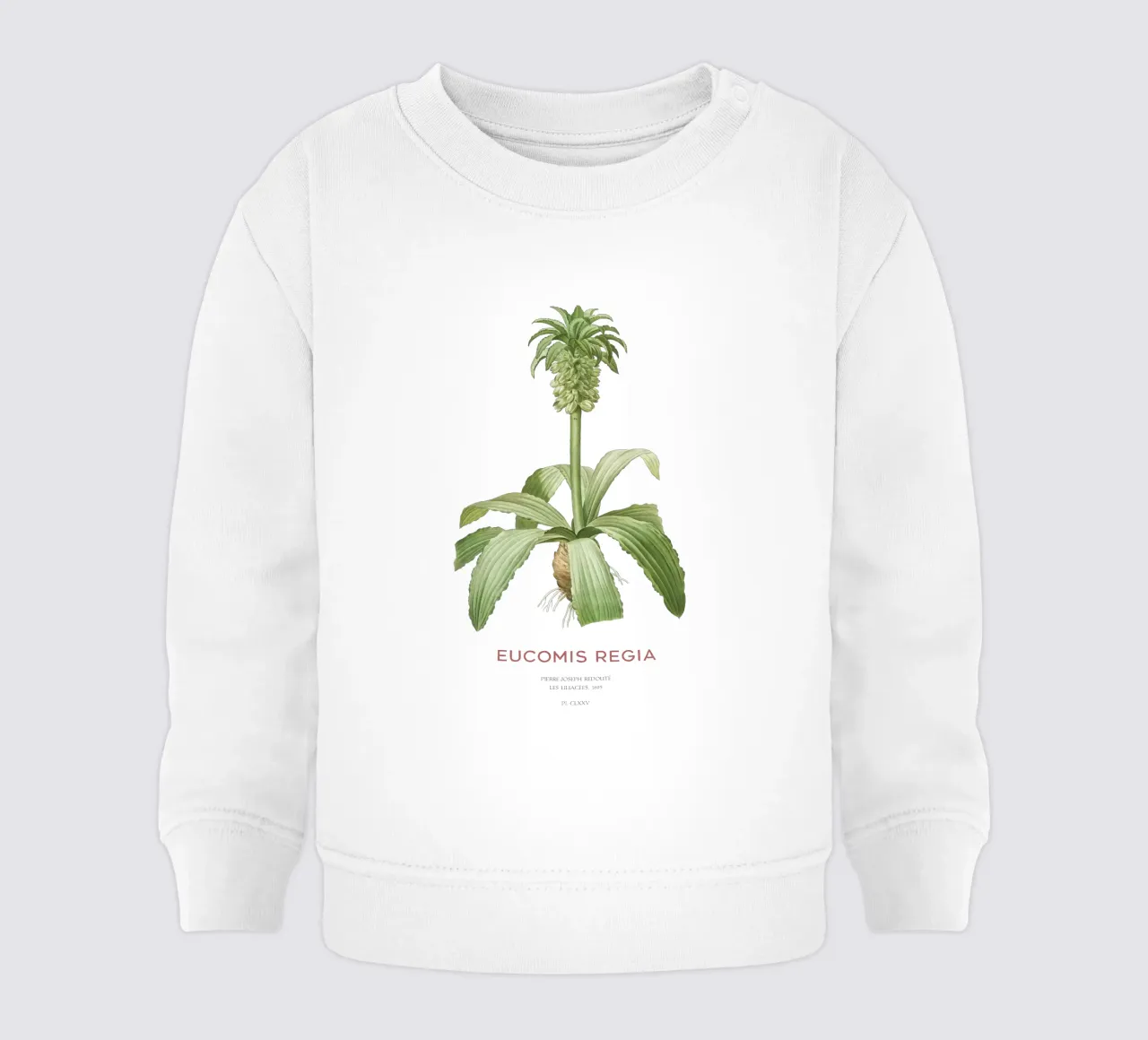Giglio dell'ananas o Eucomis regia felpa neonato da Vintagrafica