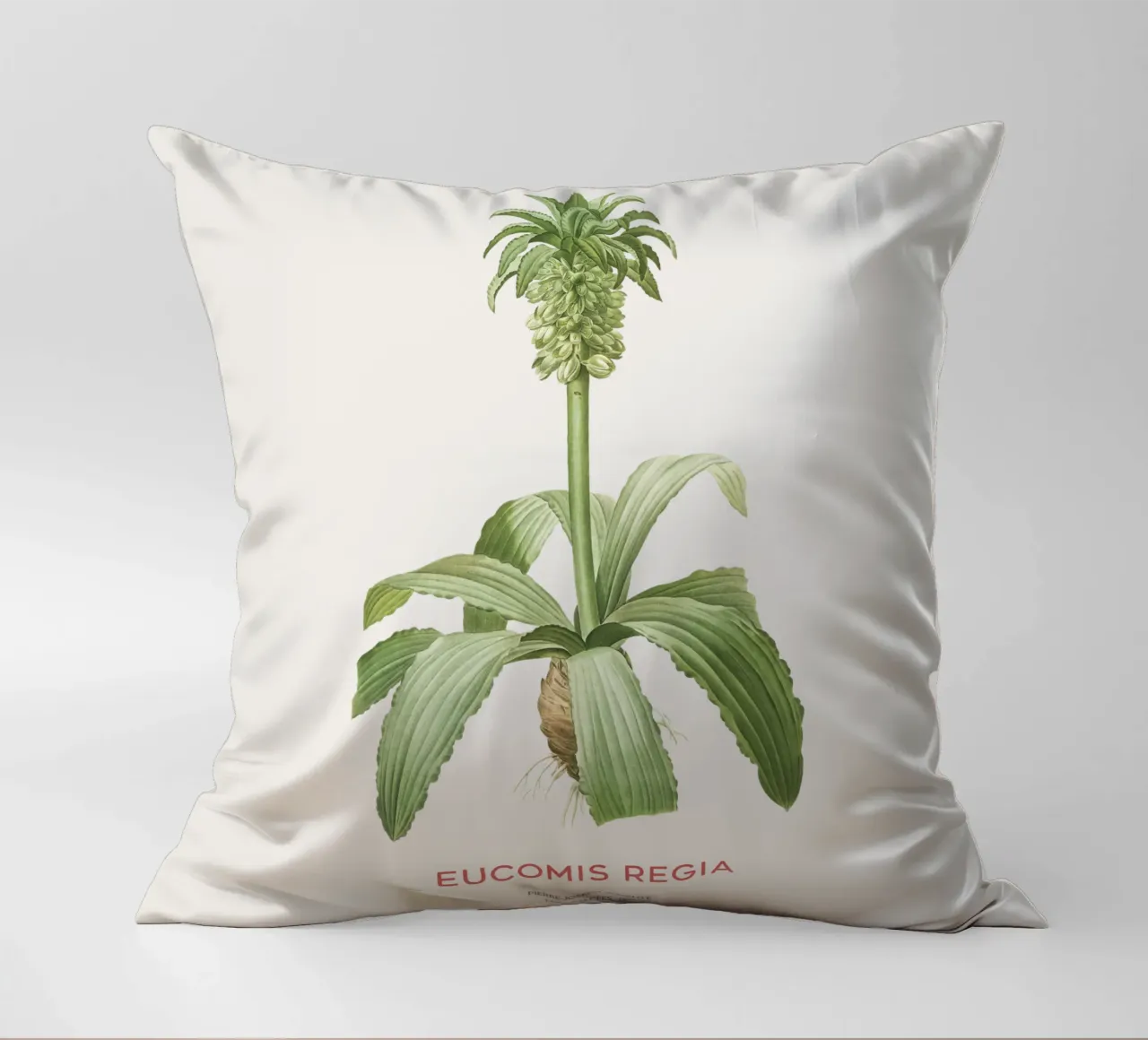 Giglio dell'ananas o Eucomis regia cuscino da Vintagrafica