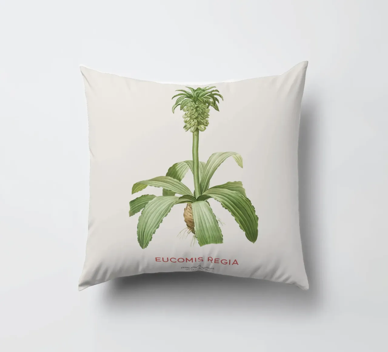Giglio dell'ananas o Eucomis regia cuscino da Vintagrafica