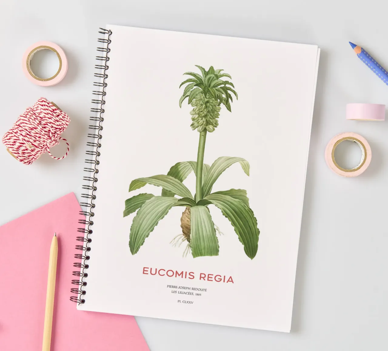 Pineapple lily or Eucomis regia spiral notebook by Vintagrafica