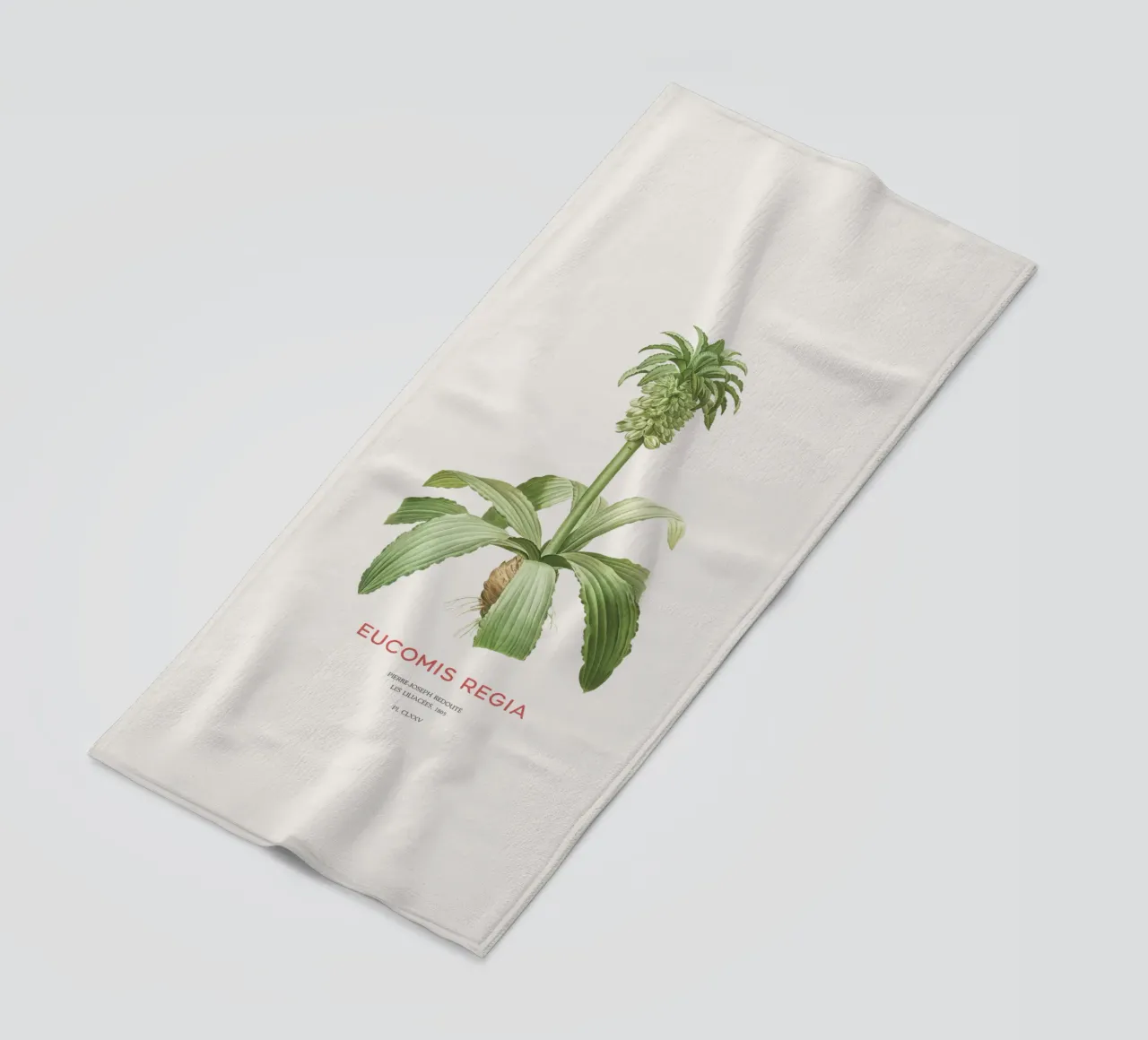 Giglio dell'ananas o Eucomis regia telo mare da Vintagrafica