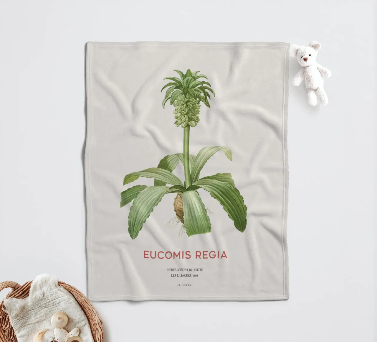 Giglio dell'ananas o Eucomis regia coperta in pile da Vintagrafica