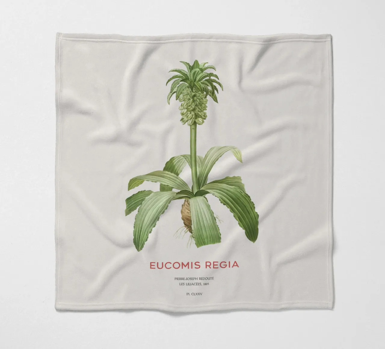 Giglio dell'ananas o Eucomis regia coperta in pile da Vintagrafica