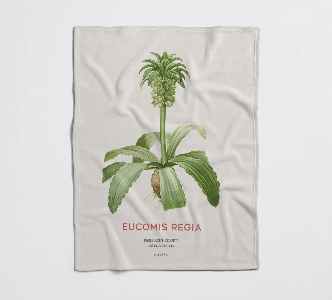 Giglio dell'ananas o Eucomis regia coperta in pile da Vintagrafica