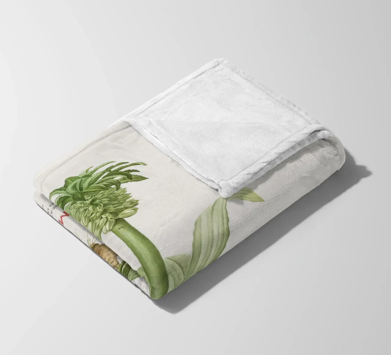 Giglio dell'ananas o Eucomis regia coperta in pile da Vintagrafica