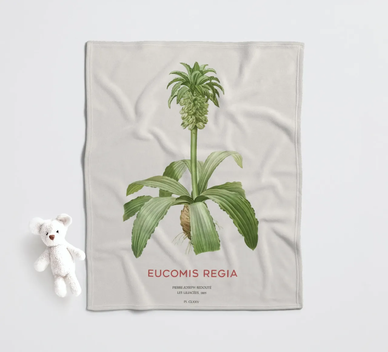Giglio dell'ananas o Eucomis regia coperta in pile da Vintagrafica