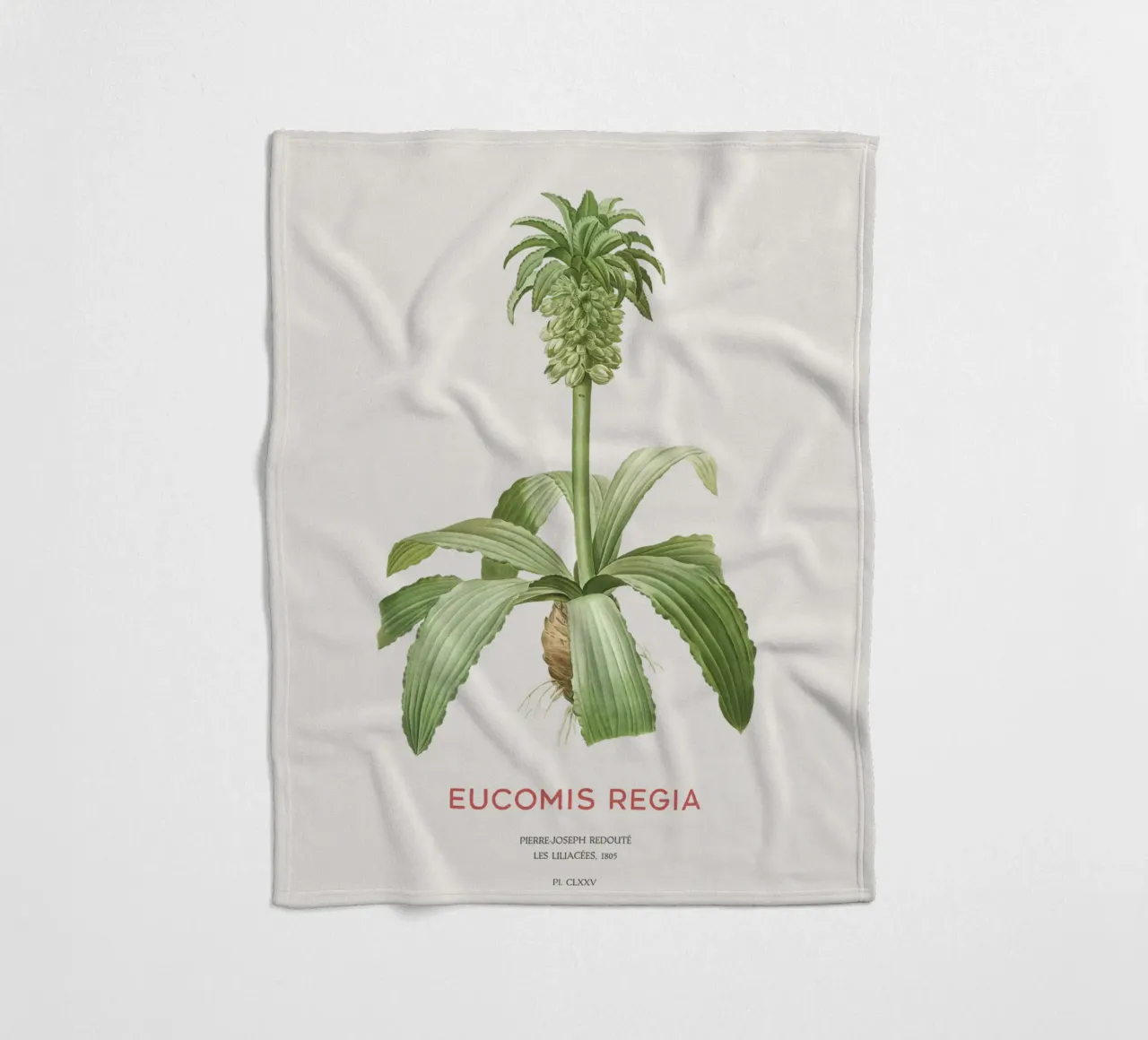 Giglio dell'ananas o Eucomis regia coperta in pile da Vintagrafica
