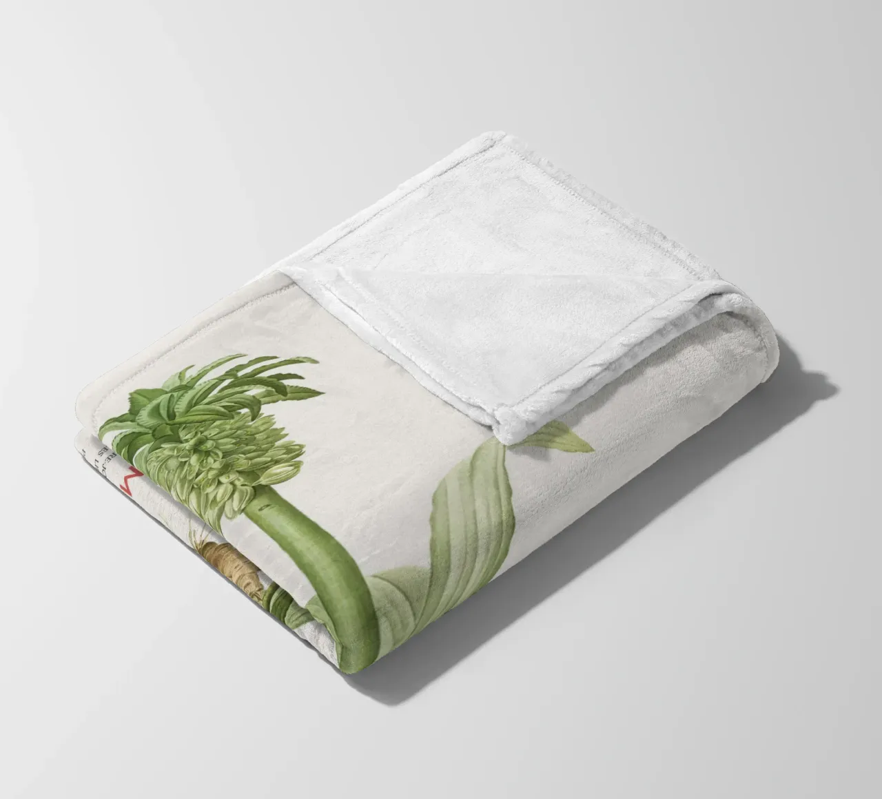 Giglio dell'ananas o Eucomis regia coperta in pile da Vintagrafica