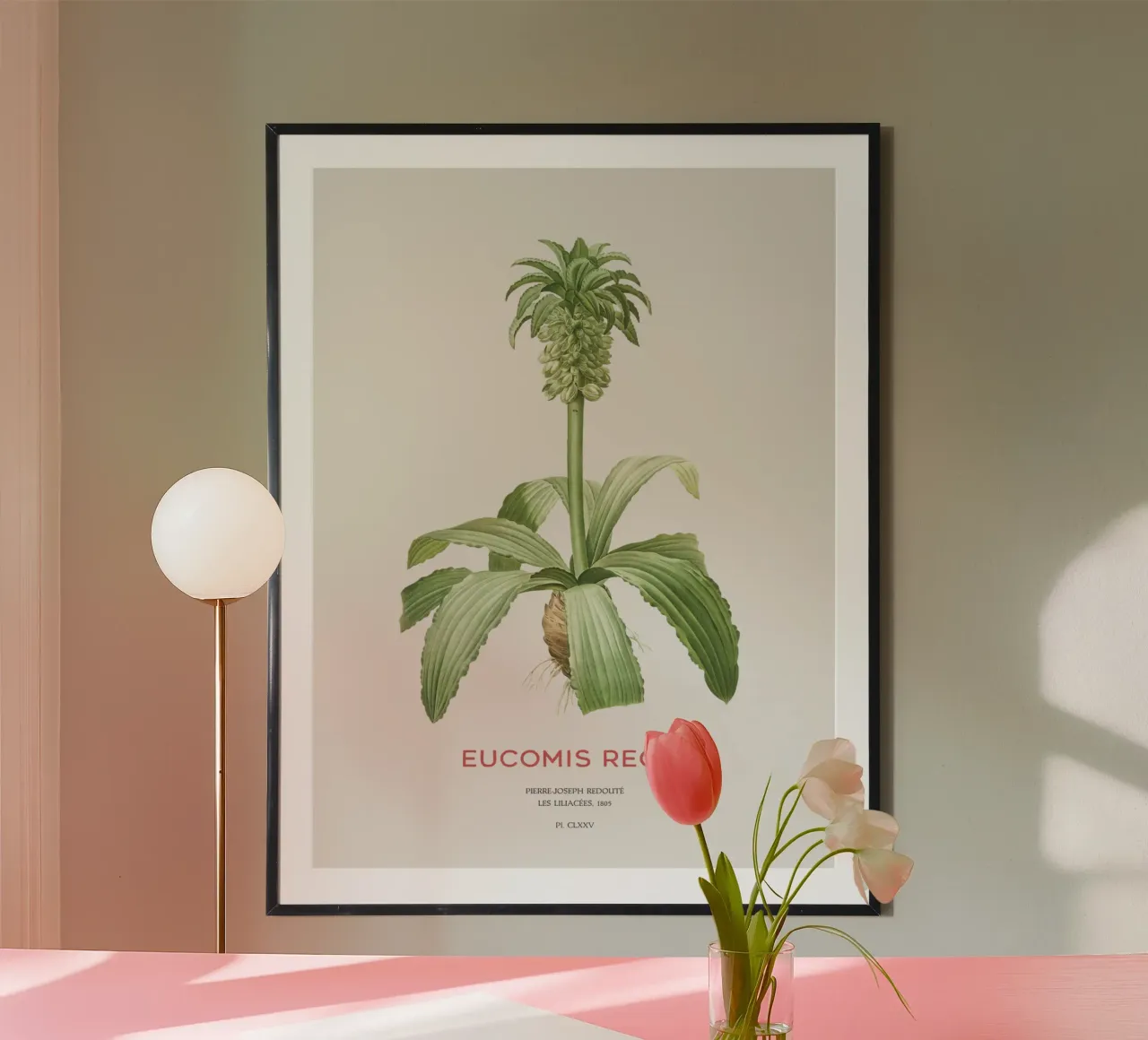 Giglio dell'ananas o Eucomis regia carta hahnemühle da Vintagrafica