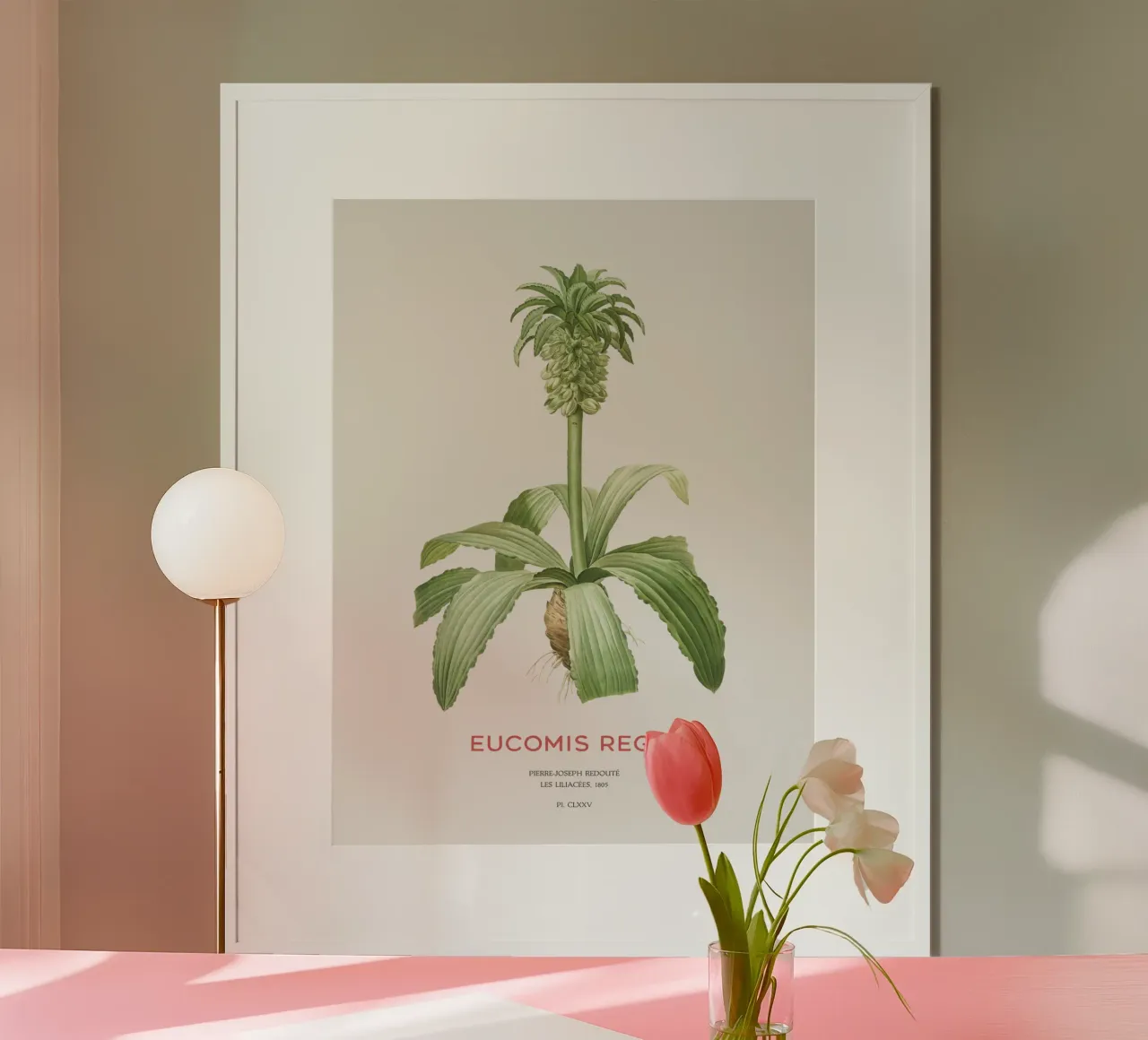 Giglio dell'ananas o Eucomis regia carta hahnemühle da Vintagrafica