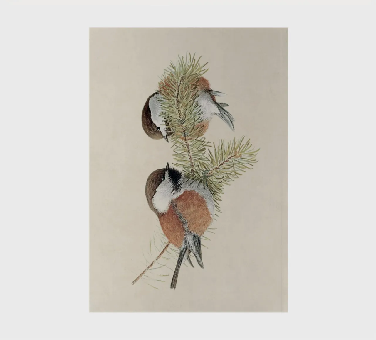 Chickadee carnet de notes de apoloprints