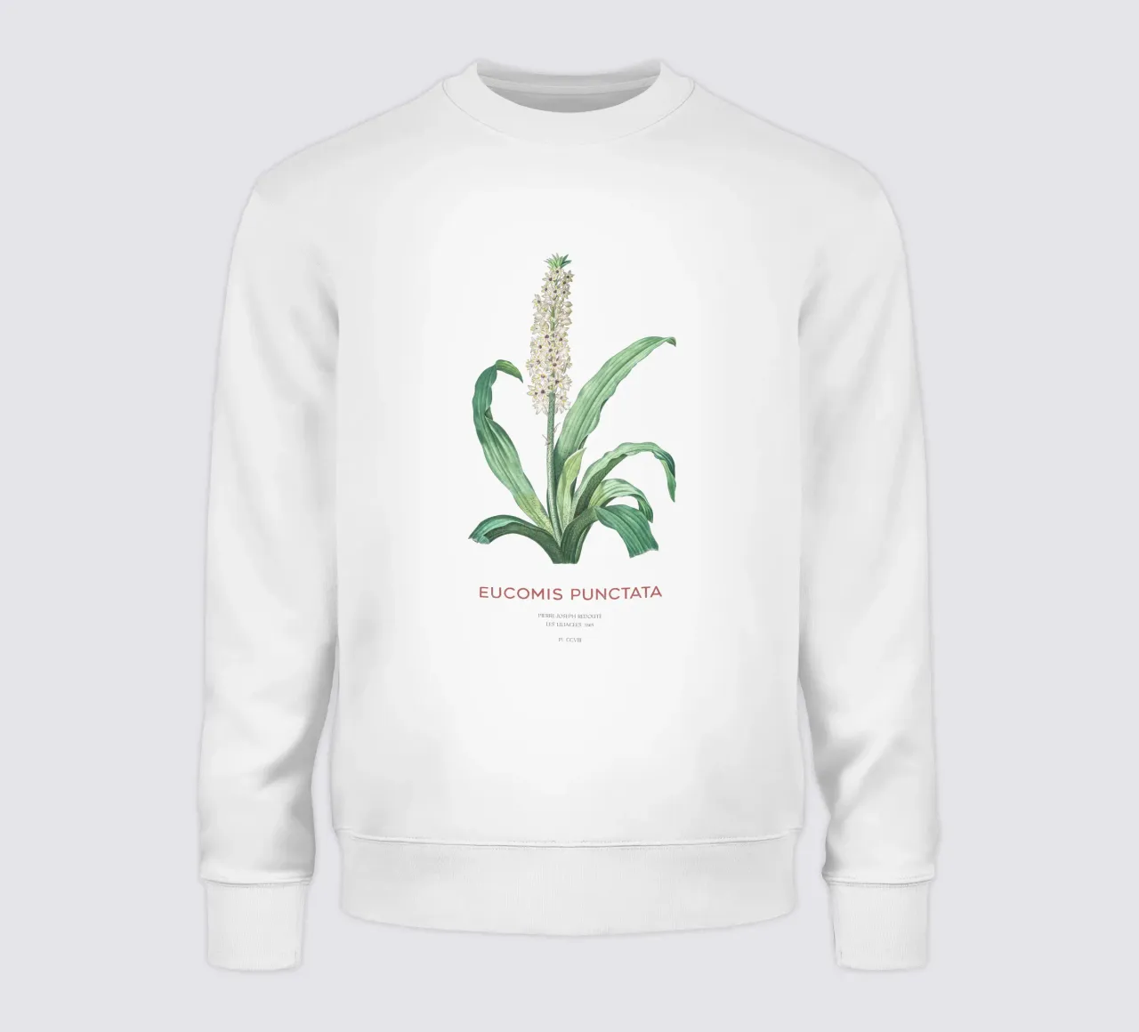 Fiore d'ananas o Eucomis punctata felpa da Vintagrafica