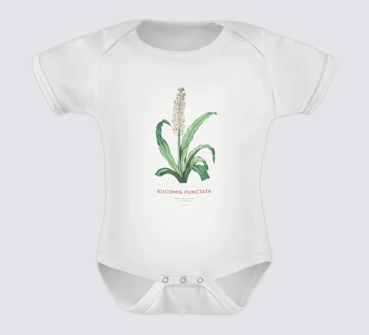 Ananasblüte oder Eucomis punctata Kurzarm Babybody von Vintagrafica