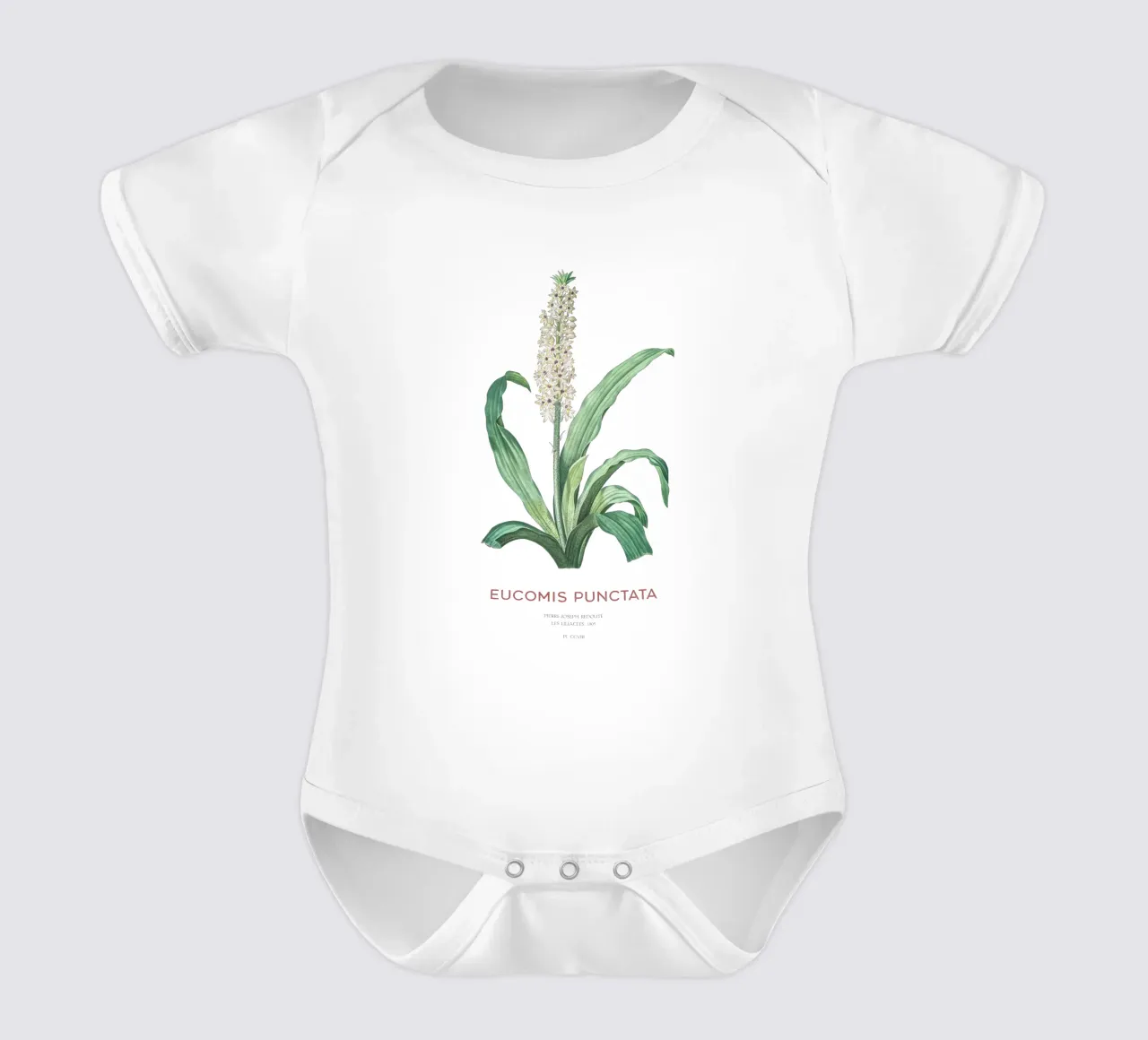 Ananasblüte oder Eucomis punctata Kurzarm Babybody von Vintagrafica
