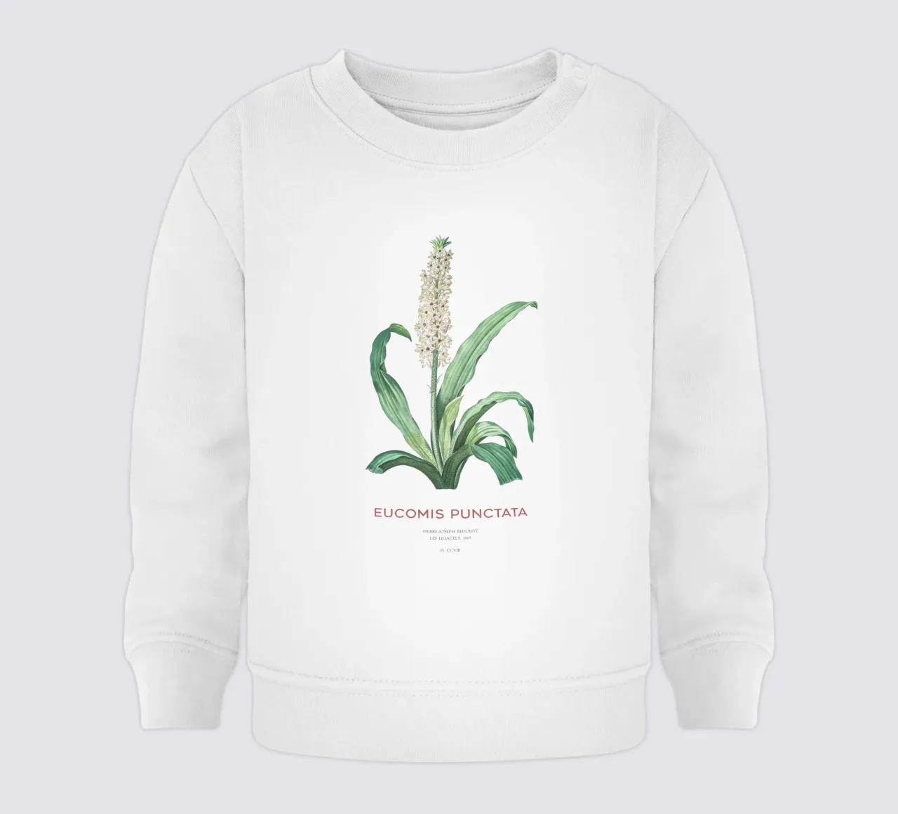 Fiore d'ananas o Eucomis punctata felpa neonato da Vintagrafica