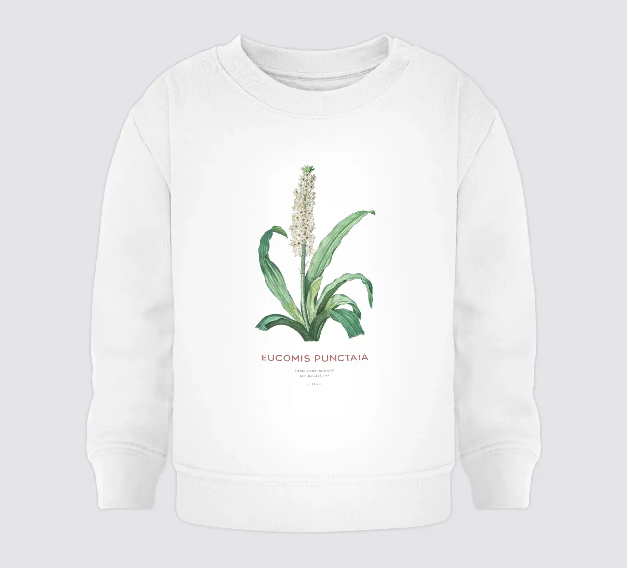Fiore d'ananas o Eucomis punctata felpa neonato da Vintagrafica