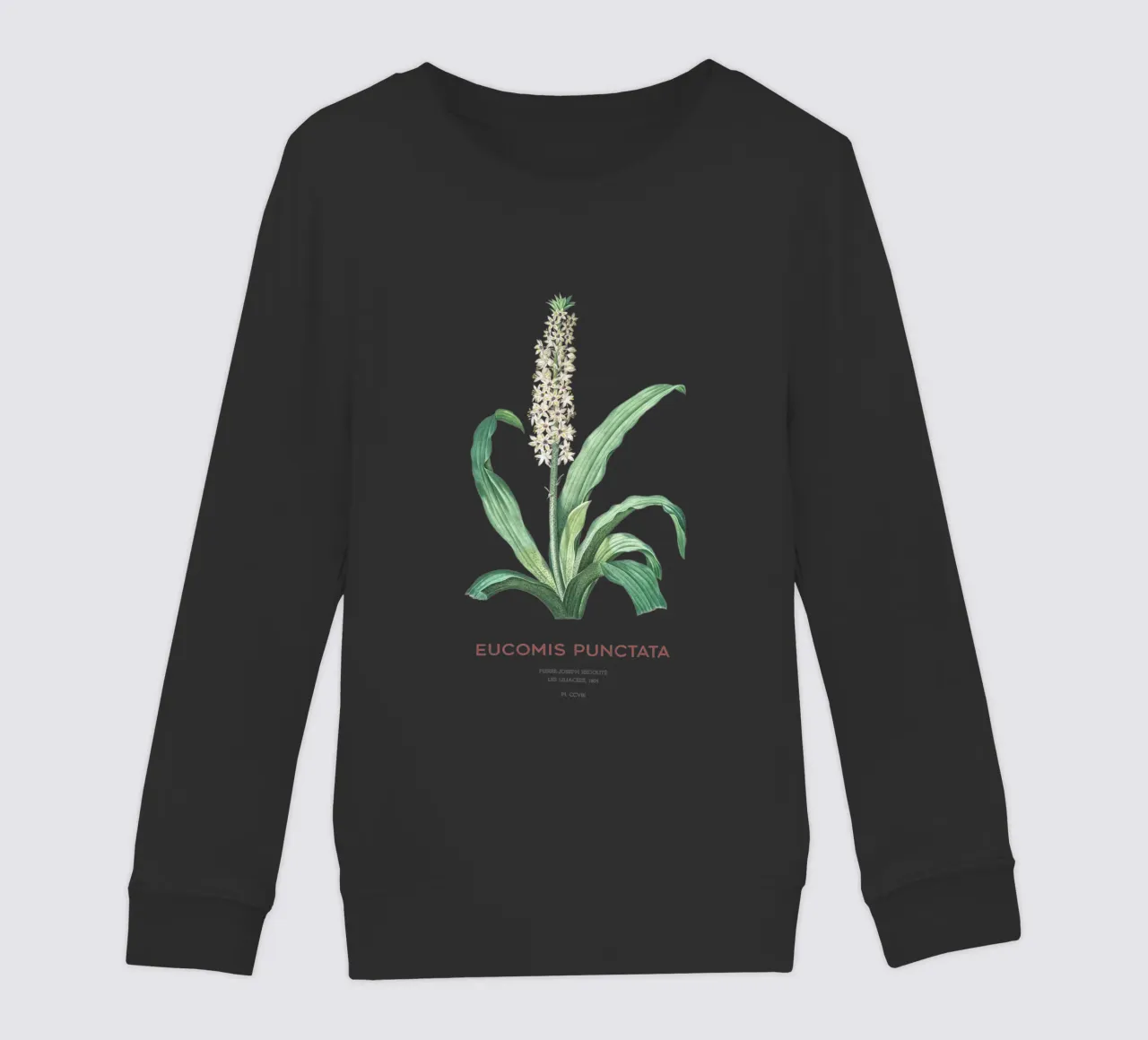 Fiore d'ananas o Eucomis punctata felpa bambino da Vintagrafica