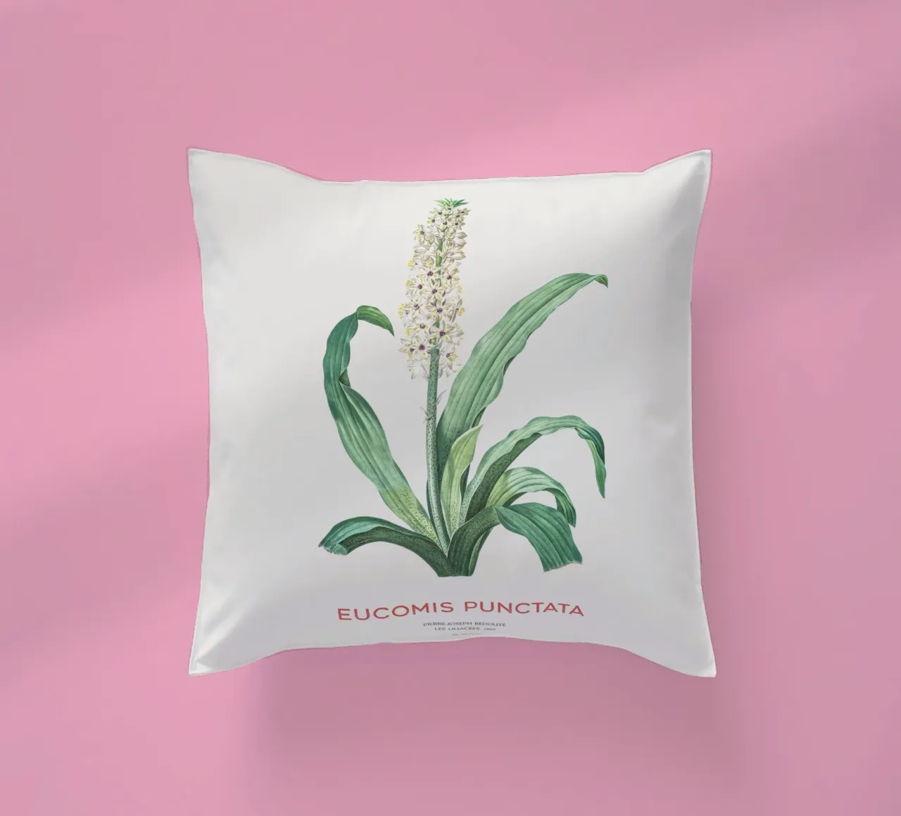 Fiore d'ananas o Eucomis punctata cuscino da Vintagrafica