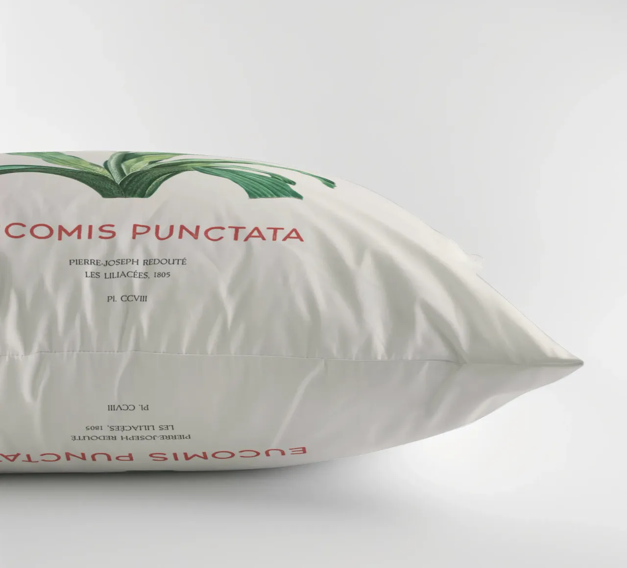 Fiore d'ananas o Eucomis punctata cuscino da Vintagrafica