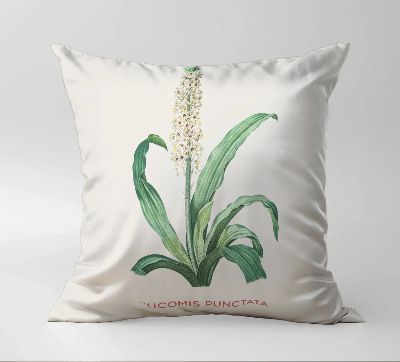Fiore d'ananas o Eucomis punctata cuscino da Vintagrafica