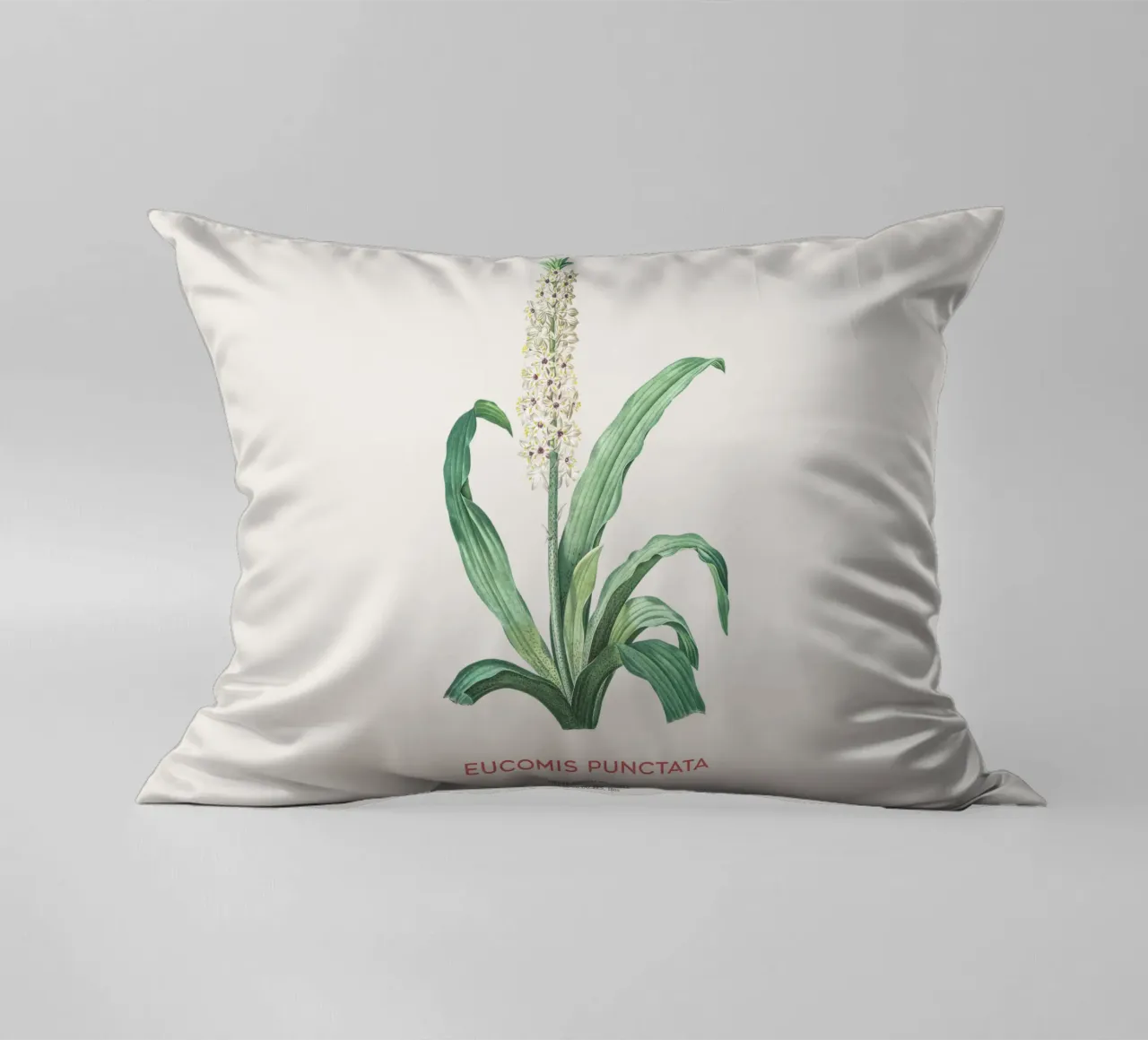 Fiore d'ananas o Eucomis punctata cuscino da Vintagrafica
