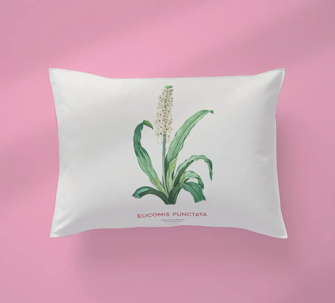 Fiore d'ananas o Eucomis punctata cuscino da Vintagrafica