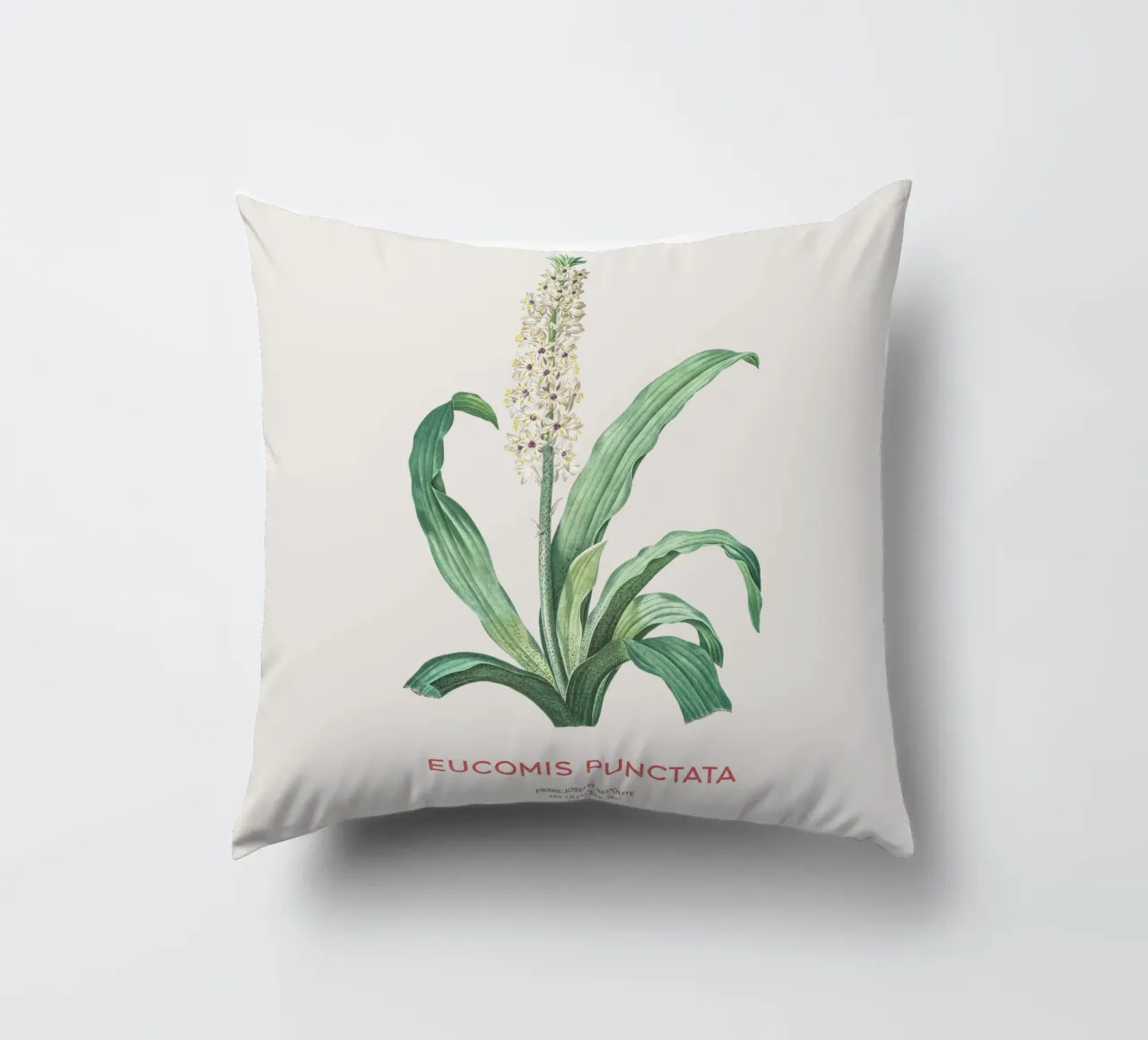 Fiore d'ananas o Eucomis punctata cuscino da Vintagrafica