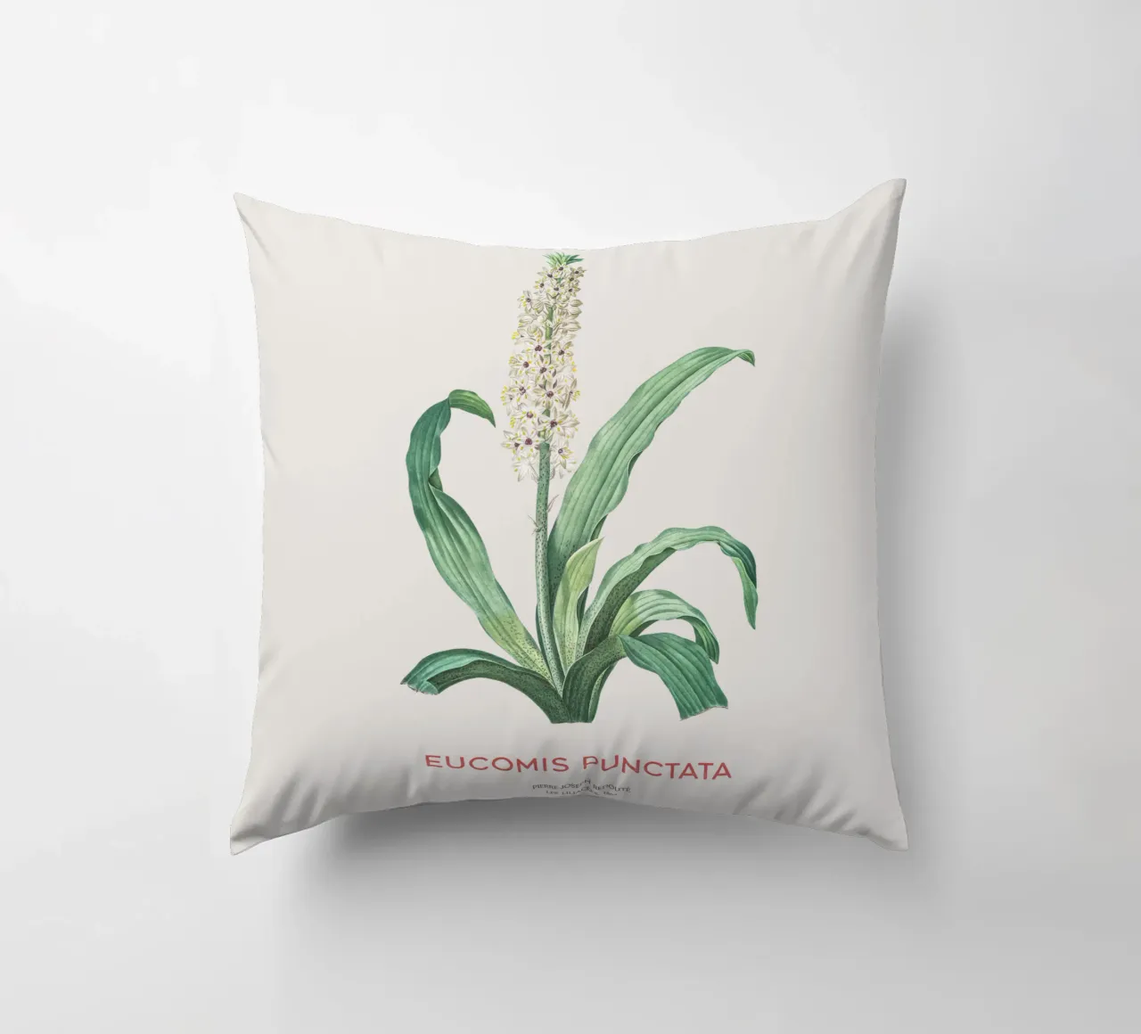 Fiore d'ananas o Eucomis punctata cuscino da Vintagrafica