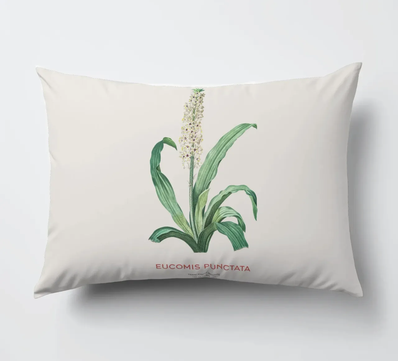 Fiore d'ananas o Eucomis punctata cuscino da Vintagrafica