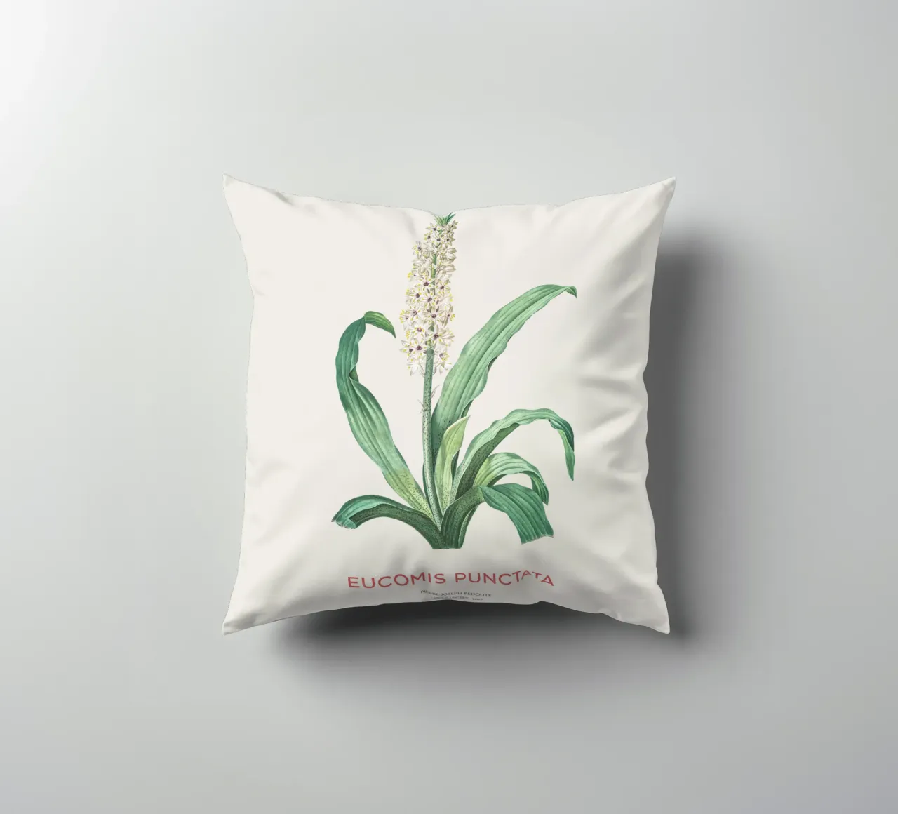 Fiore d'ananas o Eucomis punctata cuscino da Vintagrafica
