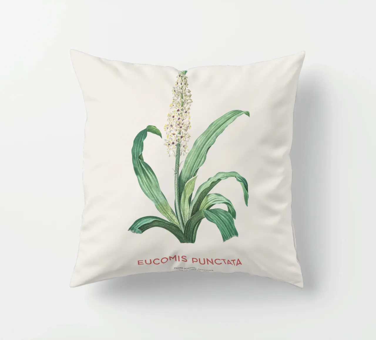 Fiore d'ananas o Eucomis punctata cuscino da Vintagrafica