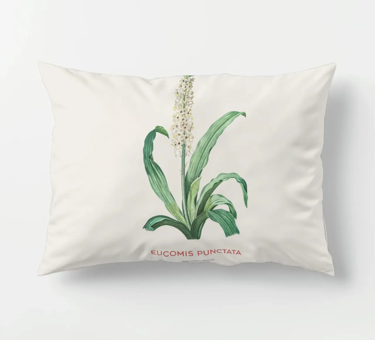 Fiore d'ananas o Eucomis punctata cuscino da Vintagrafica