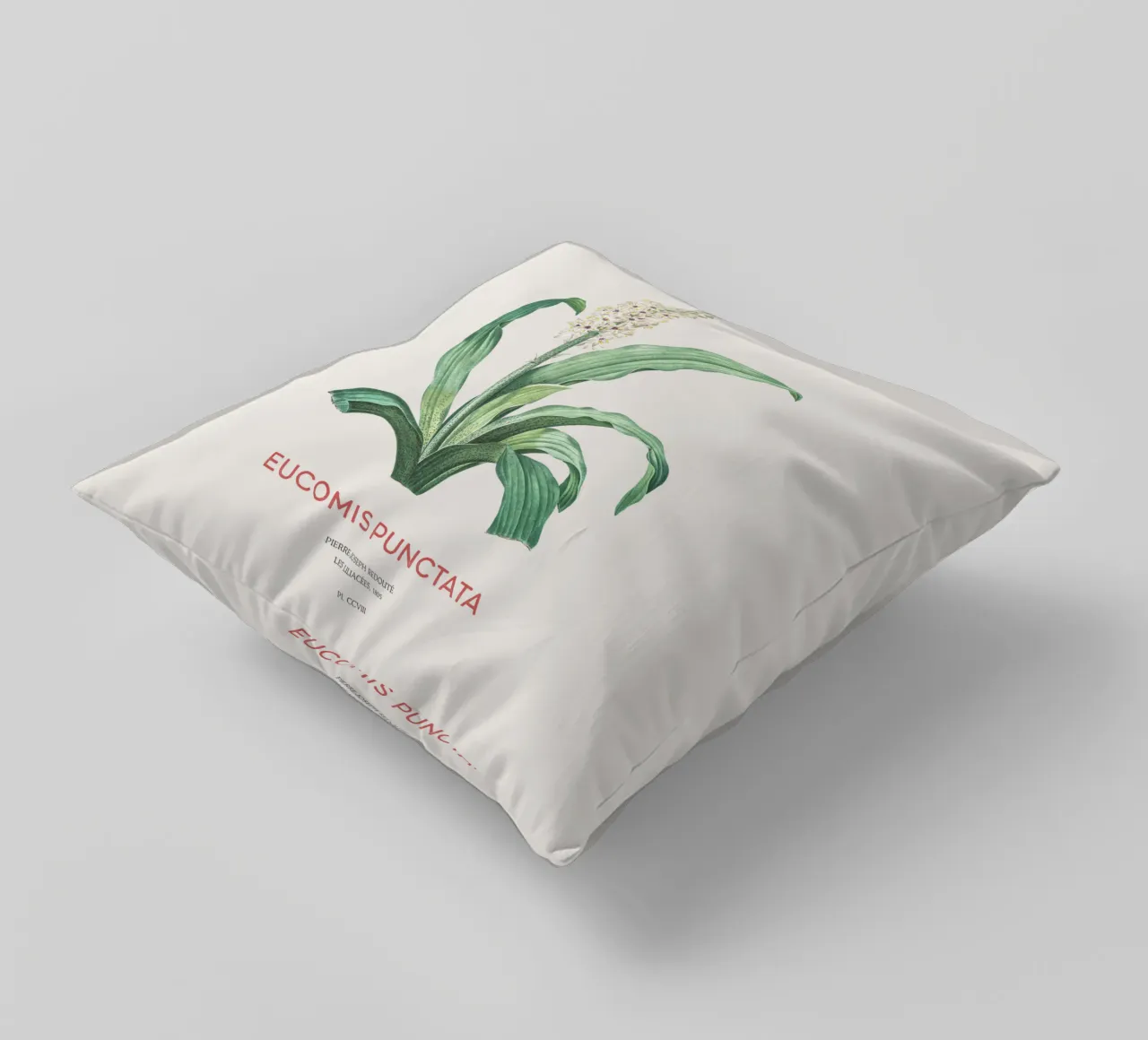 Fiore d'ananas o Eucomis punctata cuscino da Vintagrafica