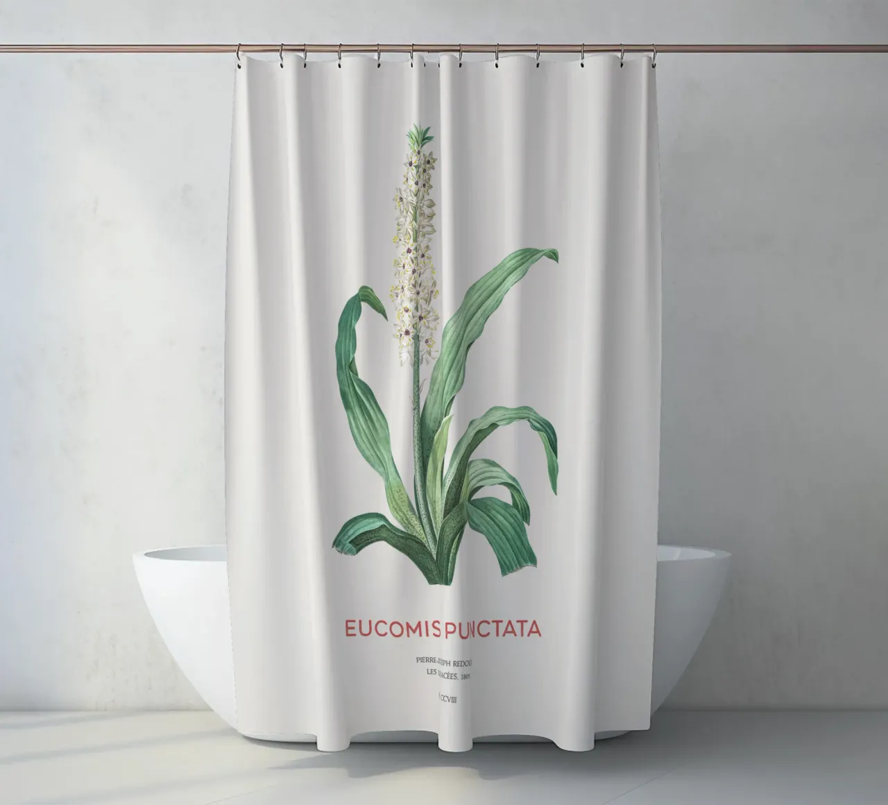 Ananasblüte oder Eucomis punctata Duschvorhang von Vintagrafica