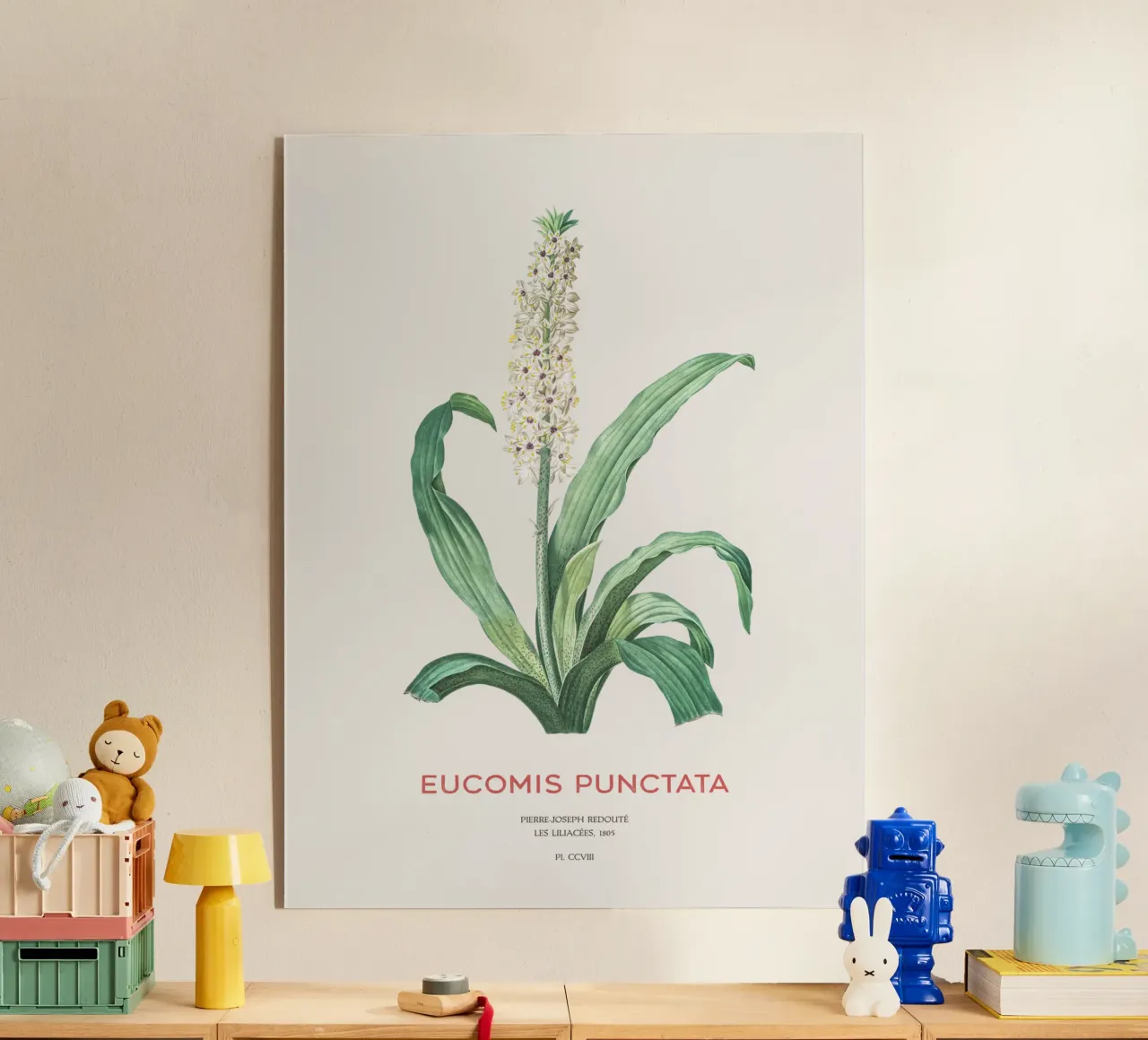 Fiore d'ananas o Eucomis punctata plexiglass da Vintagrafica