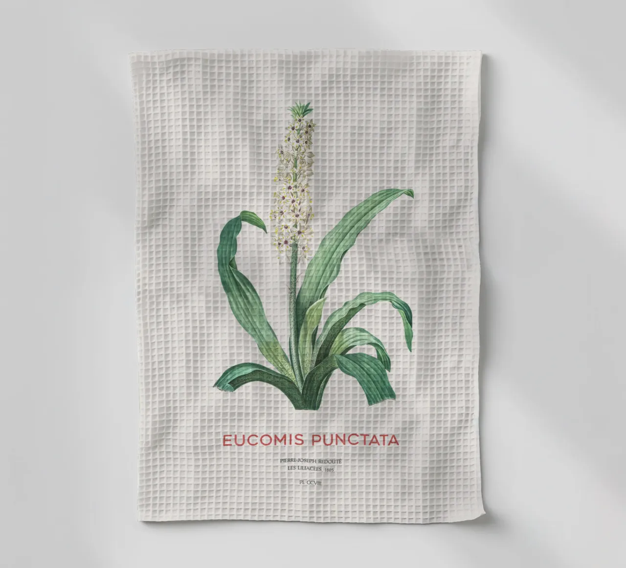 Ananasblüte oder Eucomis punctata Geschirrtuch von Vintagrafica