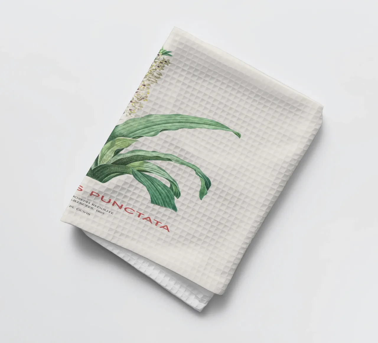 Ananasblüte oder Eucomis punctata Geschirrtuch von Vintagrafica