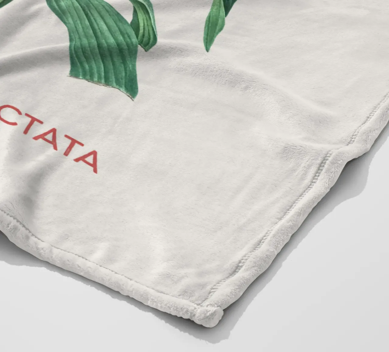 Fiore d'ananas o Eucomis punctata coperta in pile da Vintagrafica