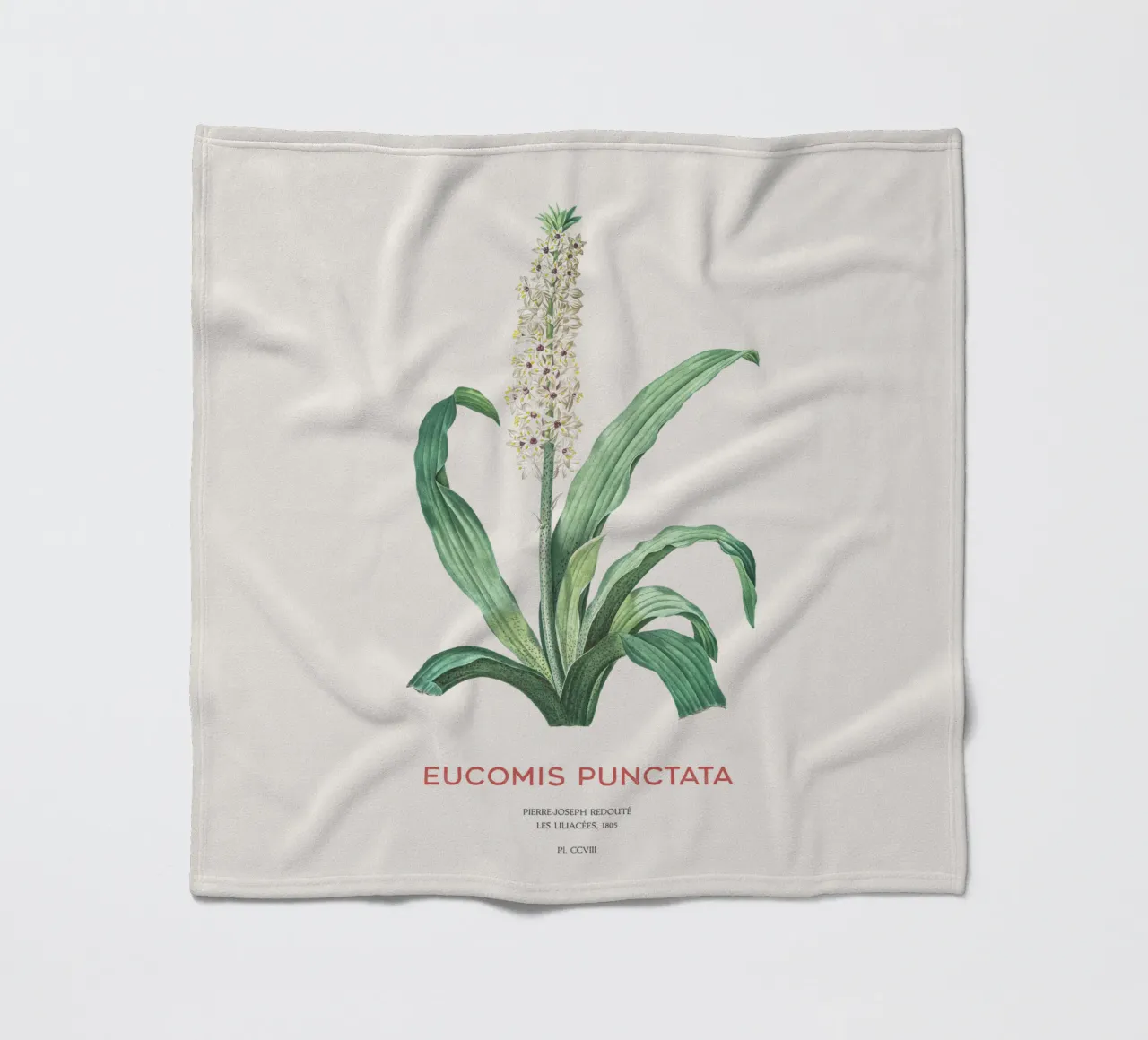 Fiore d'ananas o Eucomis punctata coperta in pile da Vintagrafica