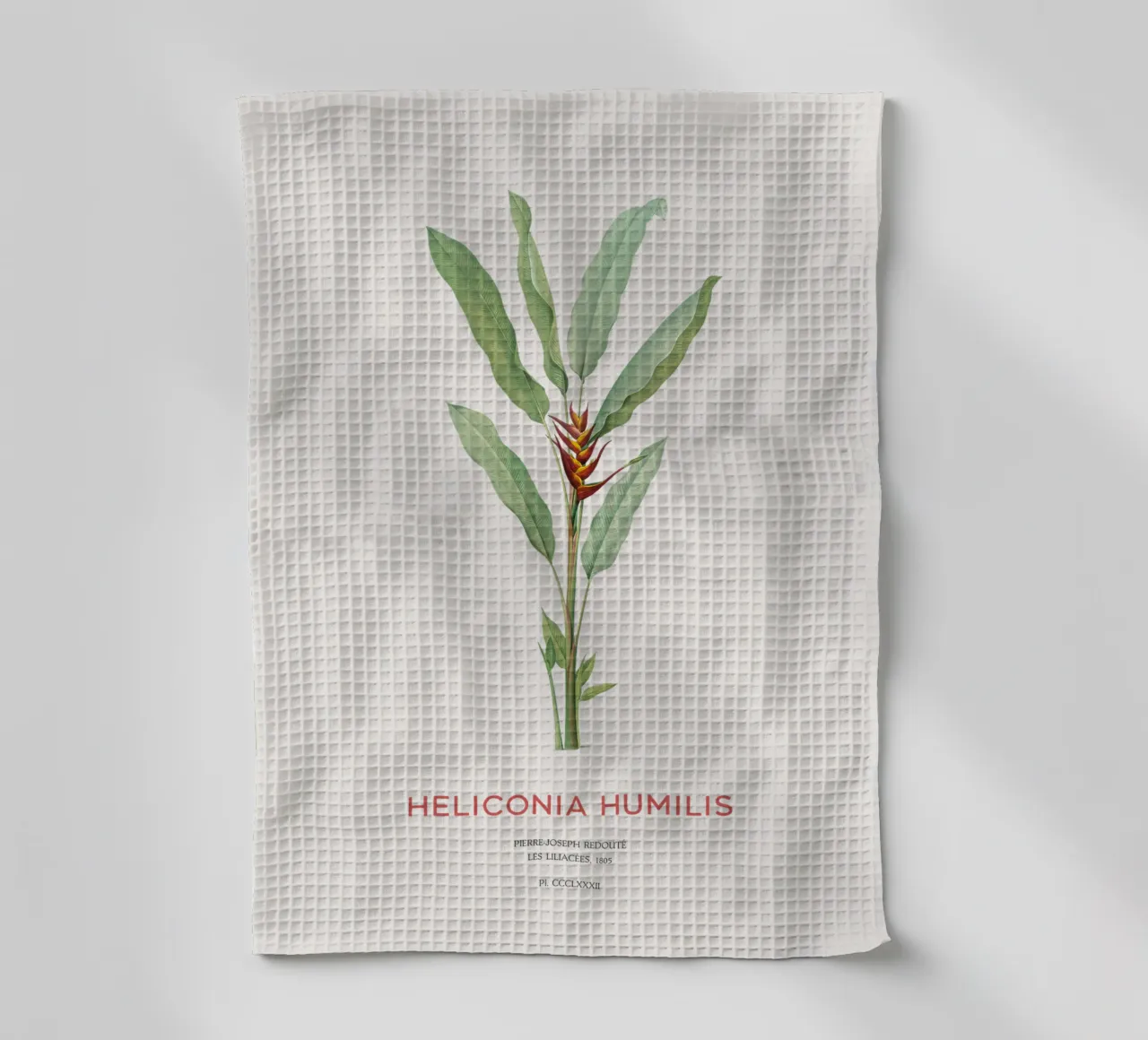 Fiore di parrocchetto o Heliconia humilis canovaccio da cucina da Vintagrafica