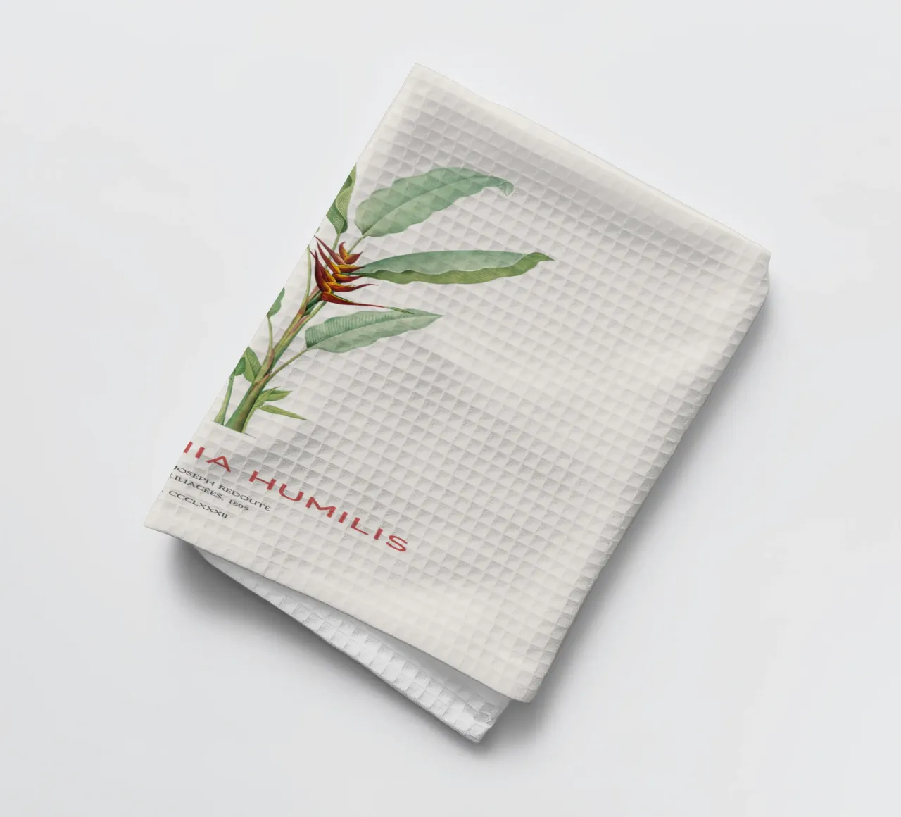 Fiore di parrocchetto o Heliconia humilis canovaccio da cucina da Vintagrafica