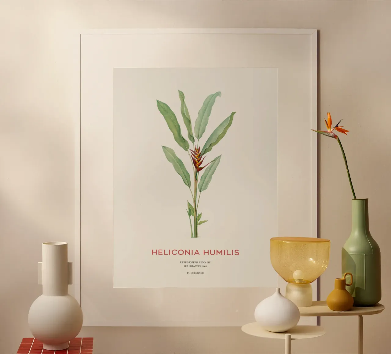 Sittichblume oder Heliconia humilis Poster mit Kunststoffrahmen von Vintagrafica