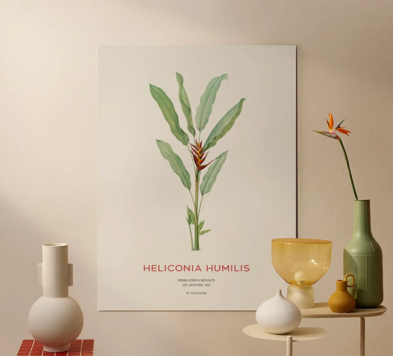 Sittichblume oder Heliconia humilis Poster mit Kunststoffrahmen von Vintagrafica