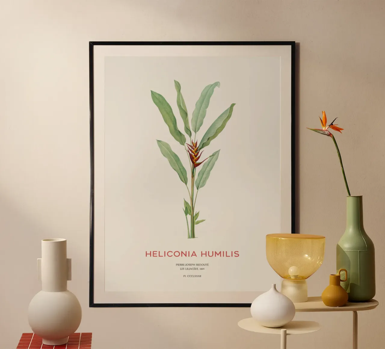 Sittichblume oder Heliconia humilis Poster mit Kunststoffrahmen von Vintagrafica