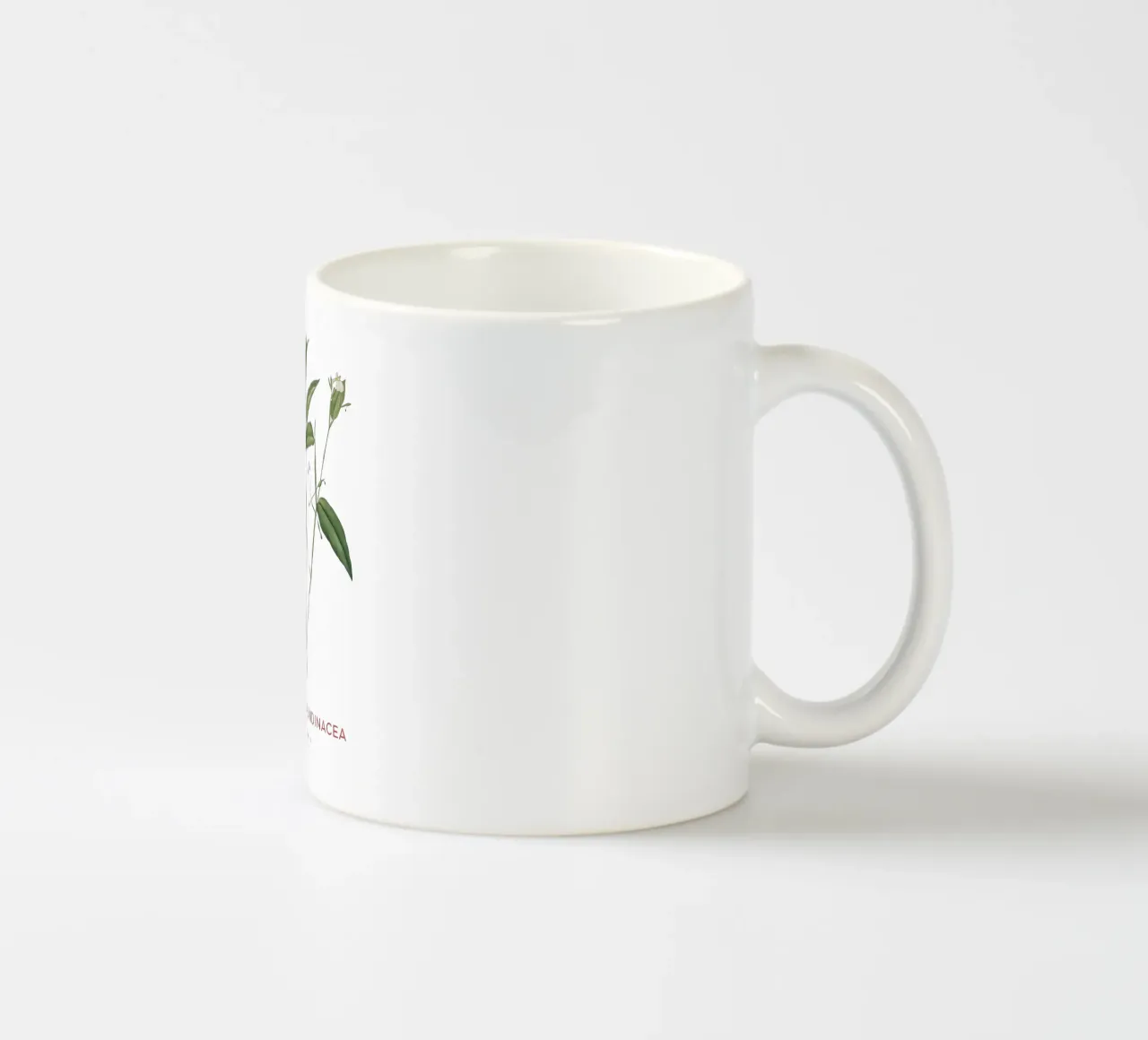 Radice di freccia delle Bermuda o Maranta arundinacea tazza in ceramica da Vintagrafica